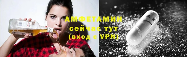 гашик Алексеевка