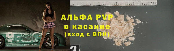 гашик Алексеевка