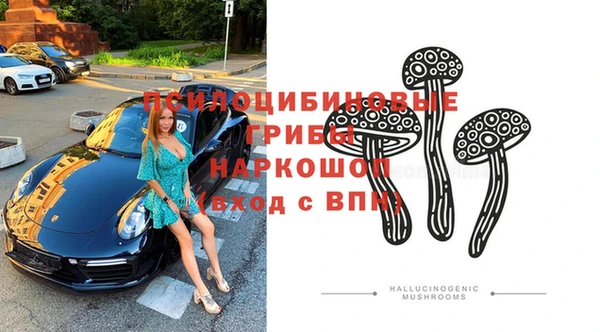 дмт Алексин