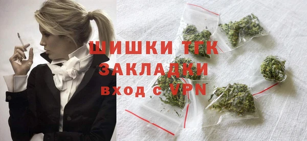 гашик Алексеевка