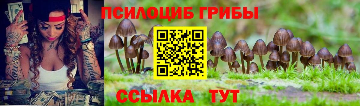 Галлюциногенные грибы GOLDEN TEACHER Котельники