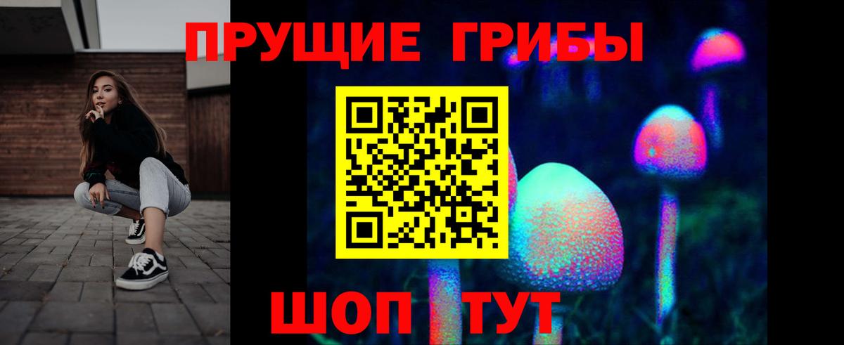 Псилоцибиновые грибы GOLDEN TEACHER  Вход с VPN  Котельники 